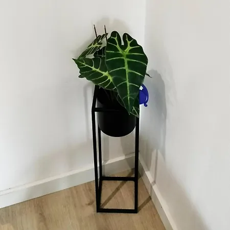 Sunday Lovers - Fb - 96