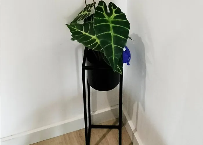 Sunday Lovers - Fb - 96